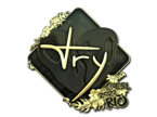 TRY (Gold) | Rio 2022 image